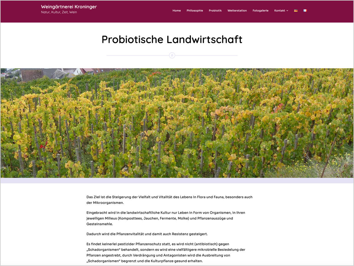 Weinberge der Weingärtnerei Kroninger, die probiotische Landwirtschaft betreibt, ohne den Einsatz von Pestiziden. Ziel ist es, die Pflanzenvitalität durch natürliche Mittel zu steigern.